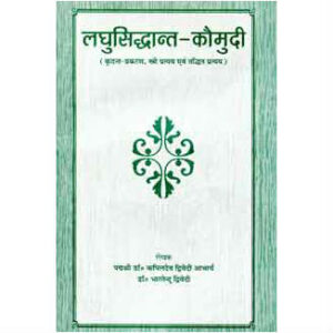 Laghusiddhant kaumudi (kridant, taddhit evan stree pratyay) - लघुसिद्धान्त कौमुदी (कृदन्त, तद्धित एवं स्त्री प्रत्यय)